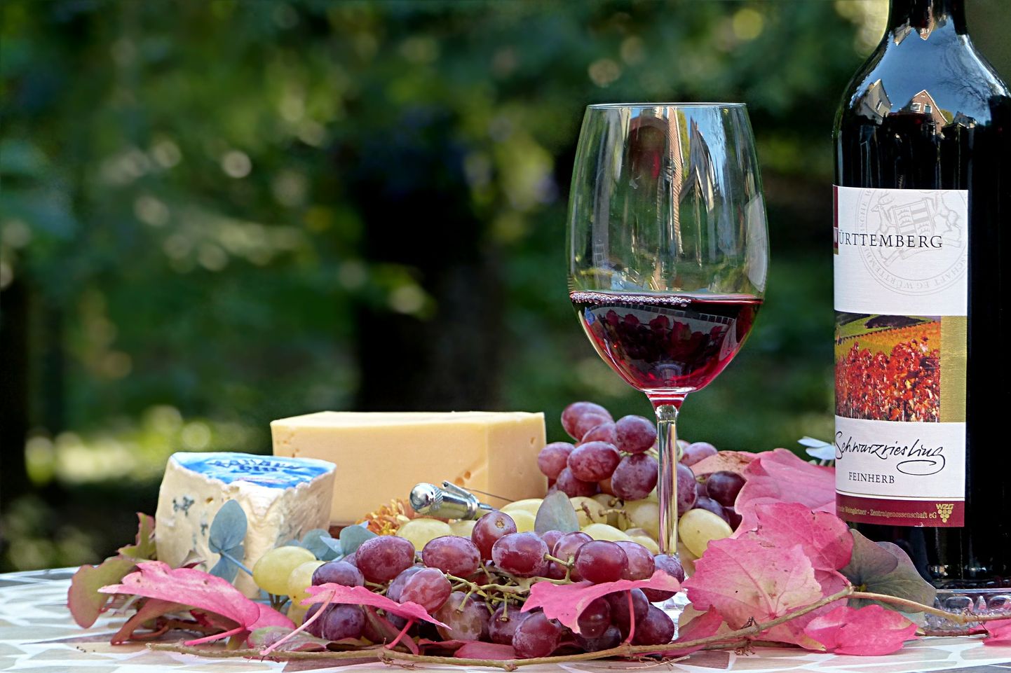 Вино и сыр. Иллюстративное фото