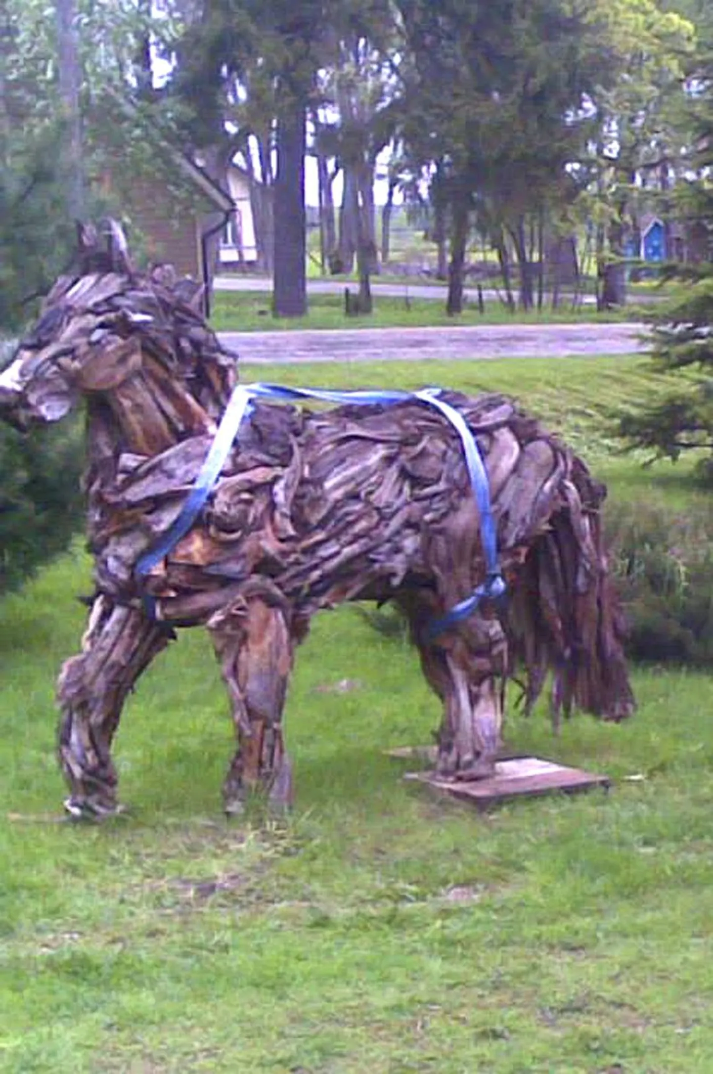 Salla hobune sõitis Soome Salla valda.