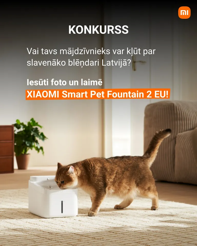 Raksta foto
