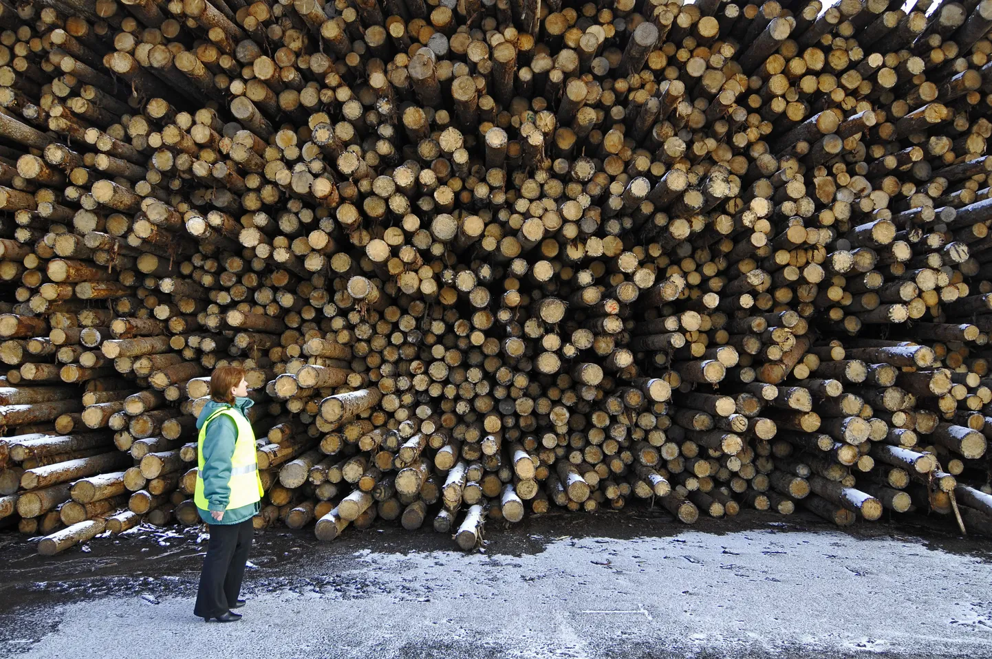 Palgivirn UPMi saeveskis Venemaal Pestovos.