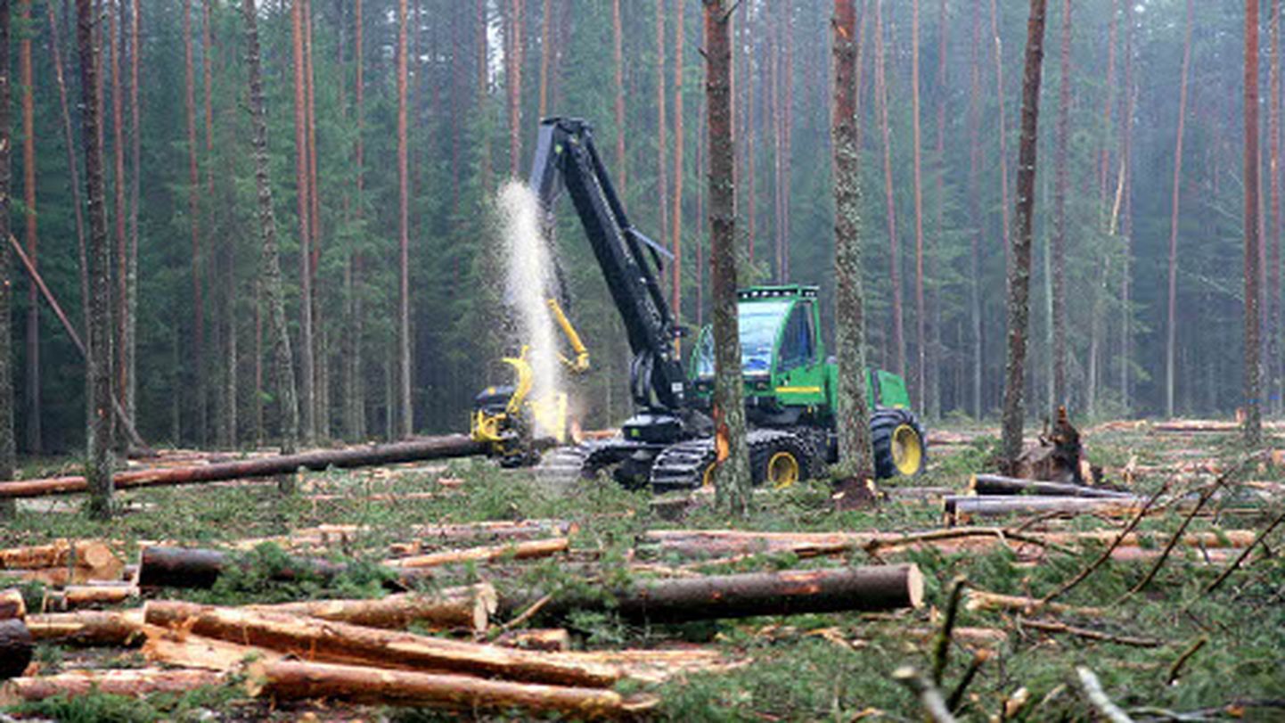 Metsas töötavad masinad on juba nii targad, et teevad metsnike eest osa töid ära.