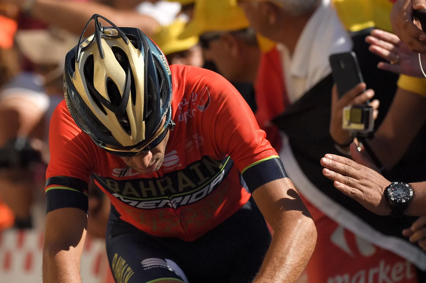 Vincenzo Nibali