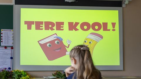 Kuusalu koolis seoti esimese klassi õpilane puu külge
