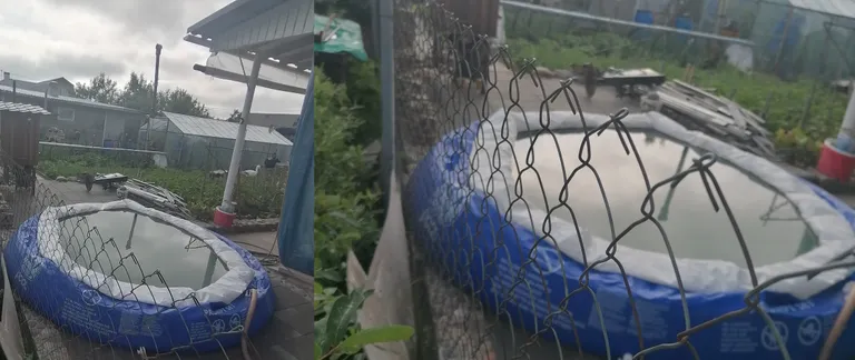 По словам Павла, сосед постоянно льет воду в бассейн, и вся она уходит на нижний участок. На фото бассейн на участке Олега.