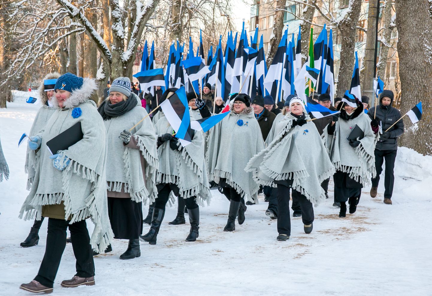 Празднование 100-летнего юбилея Эстонской Республики. Иллюстративное фото.