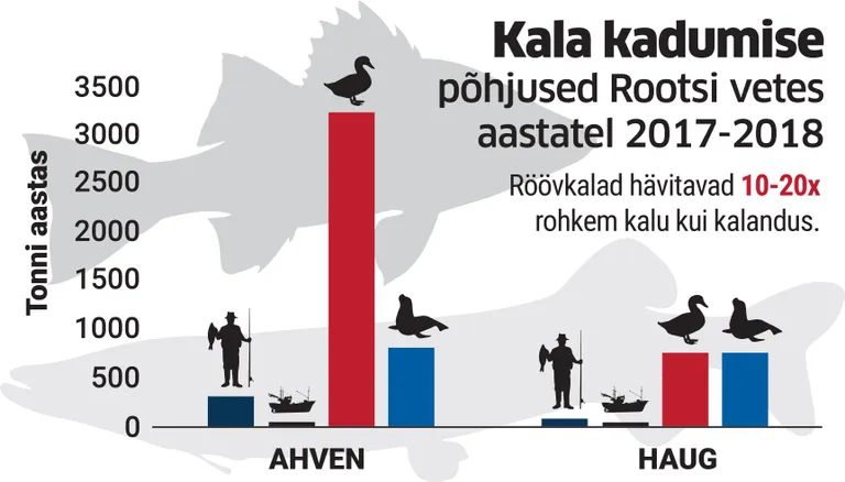Artikli foto