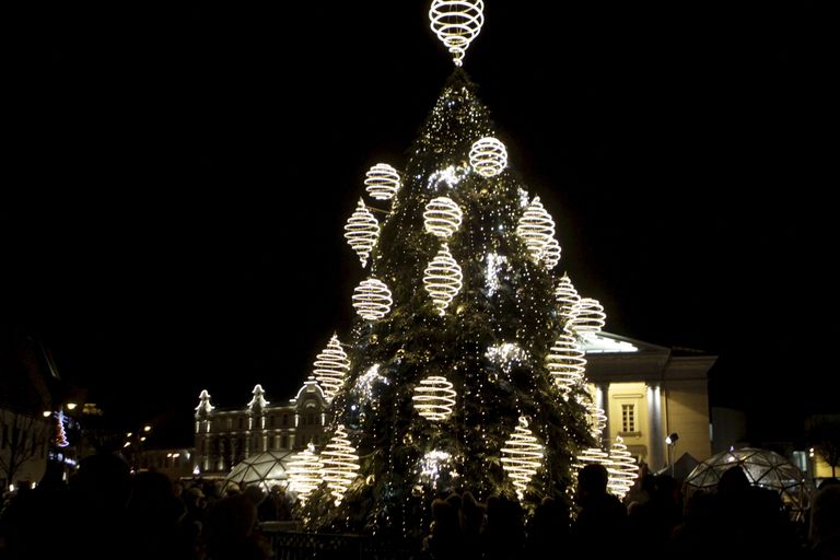 Рождественская елка на Кафедральной площади в Вильюнсе