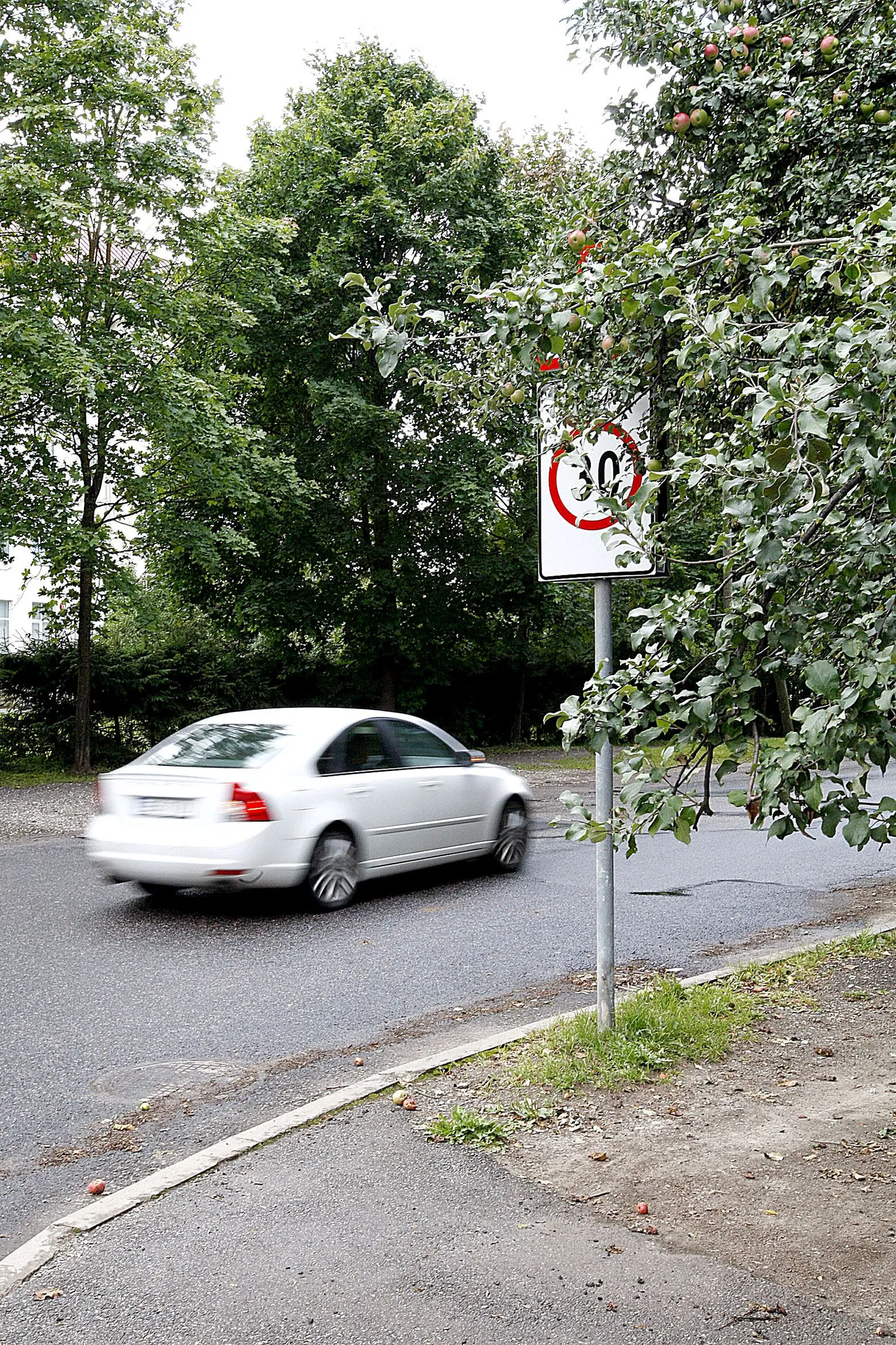 Teguri tänaval paikneval märgil jääb näha kiiruspiirang 30 km/h, kuid et tegemist on piirangualaga, ei pruugi märgata.