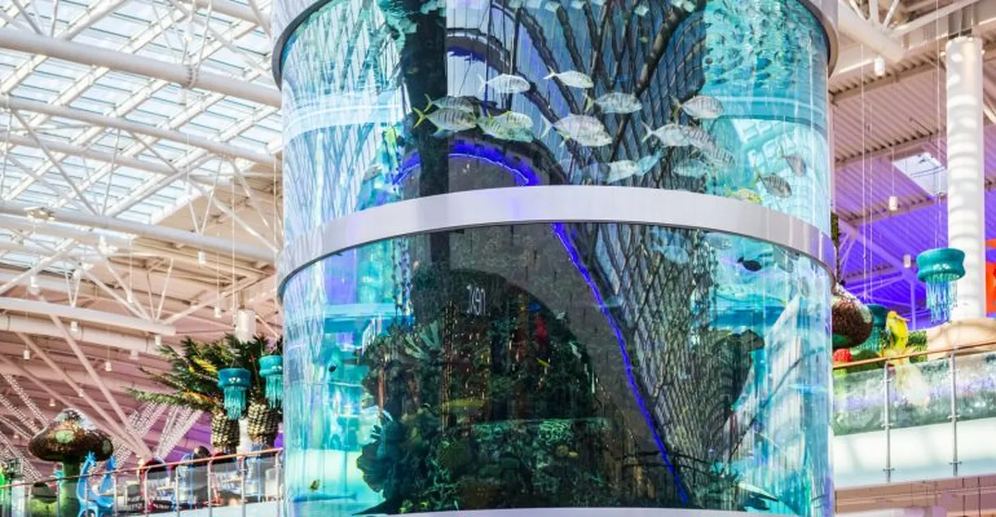 Крупнейший в Европе аквариум в московском ТЦ "Авиапарк"
