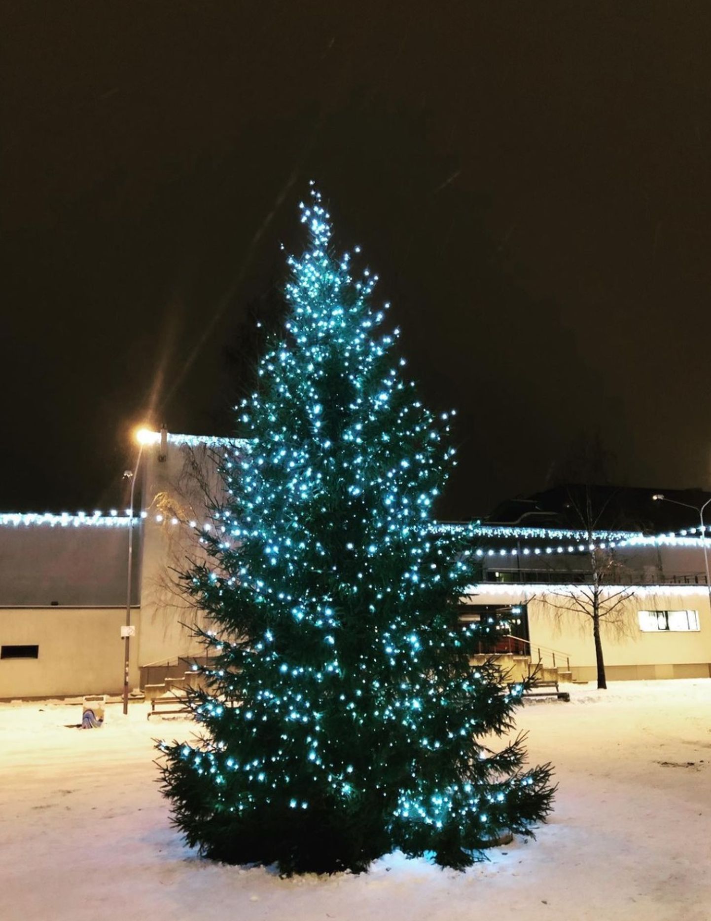 Рождественская ель у культурного центра Линдакиви, 2021 год.