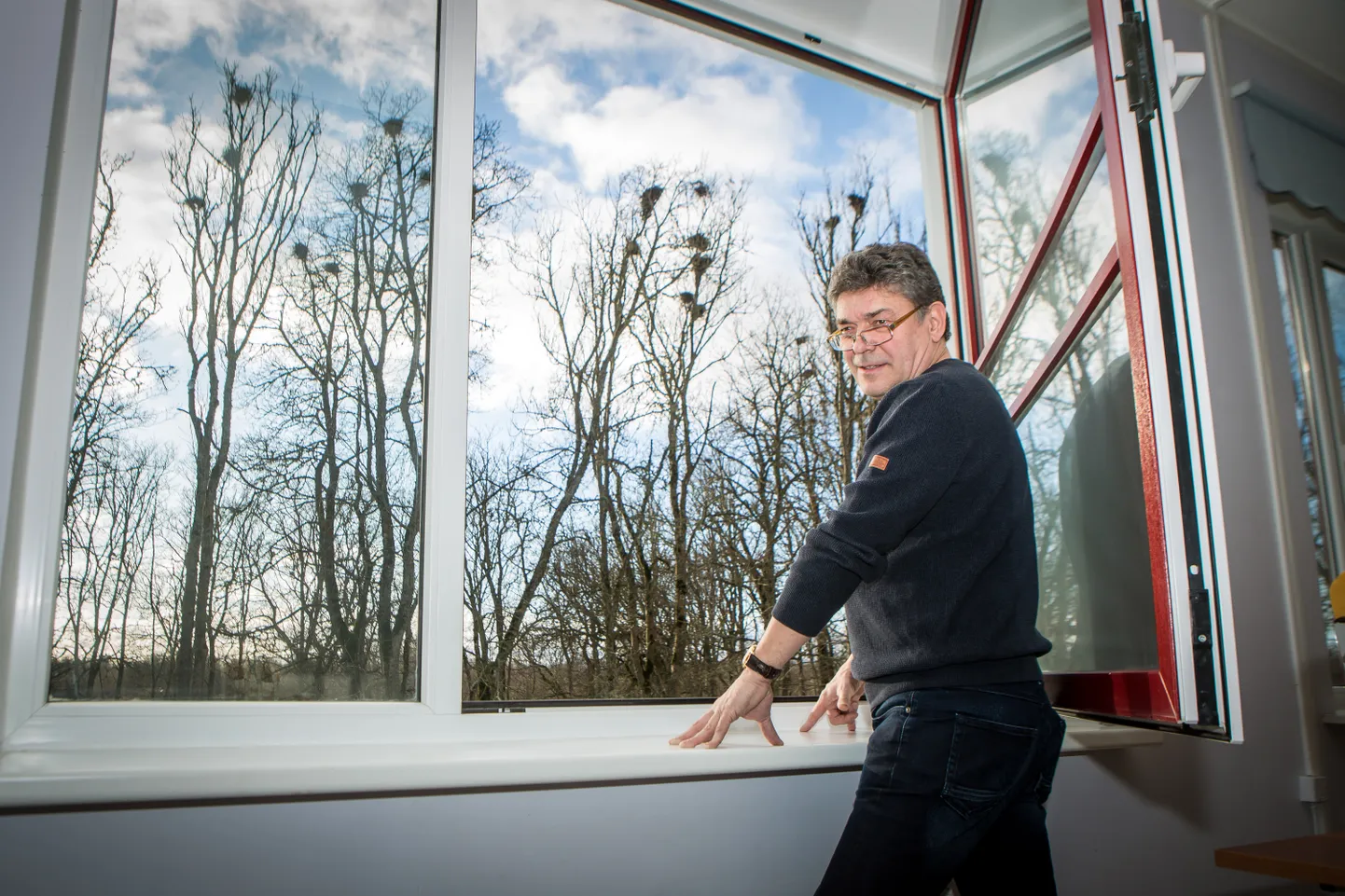 VAIKUS ENNE TORMI: Koolidirektor Andres Anton ütleb, et kui varesed kohal ja aken lahti, on lindude kisa vali. Pesad asuvad 12 puu otsas, ent kokku on neid üle 30 kindlasti.
