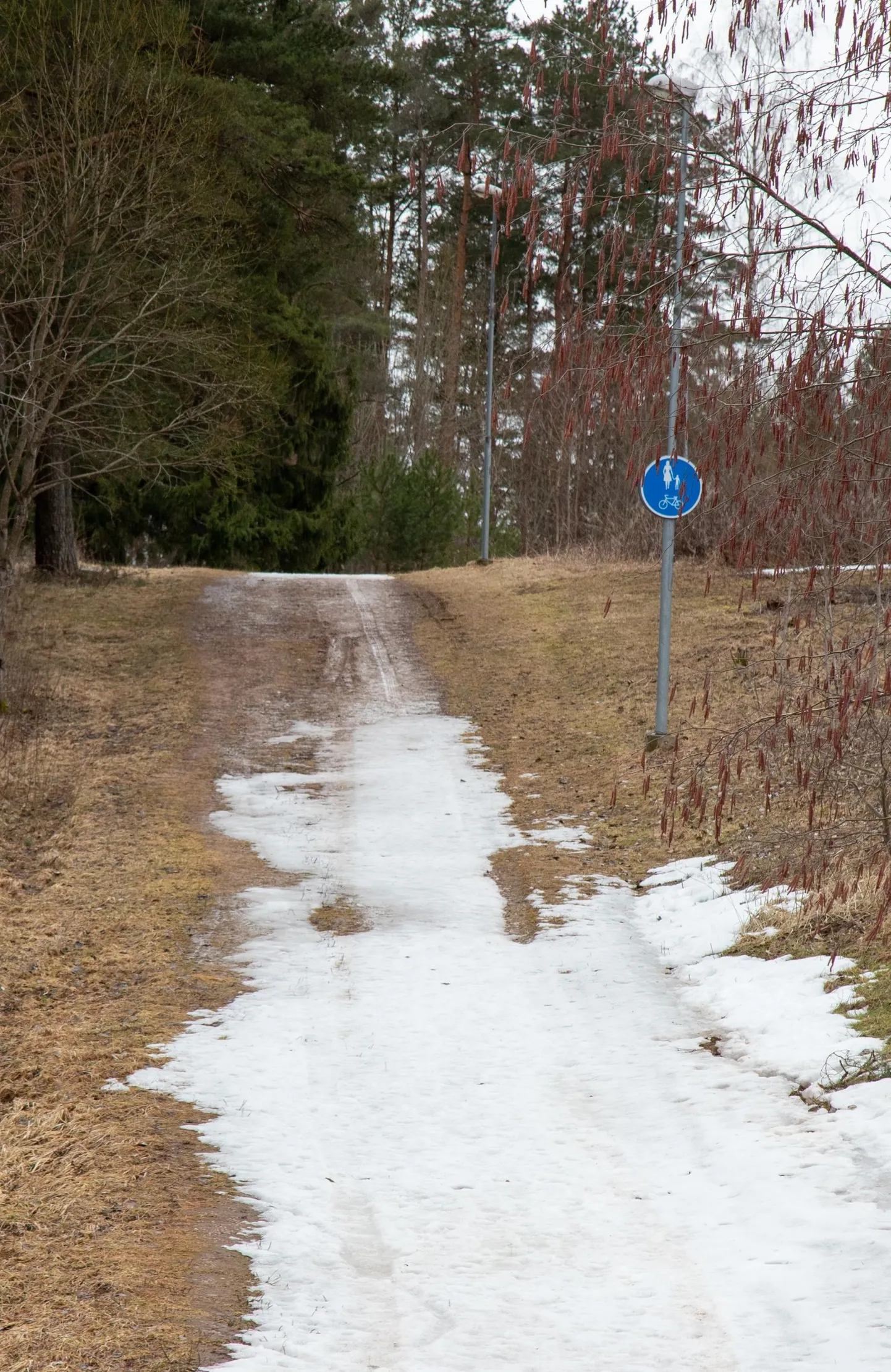Selline pilt avanes terviserajal aerutamisbaasi lähedal eile keskpäeval. Nädal varem oli kogu rada kaetud jääga ning äärtes oli väga pehme ja mudane pinnas.