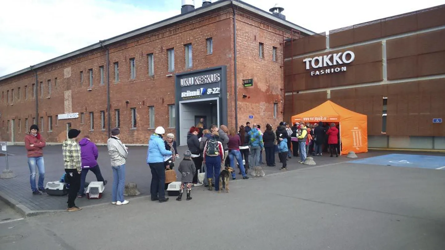 Lemmikule tasuta kiipi panna soovivatest inimestest moodustus pikk järjekord.