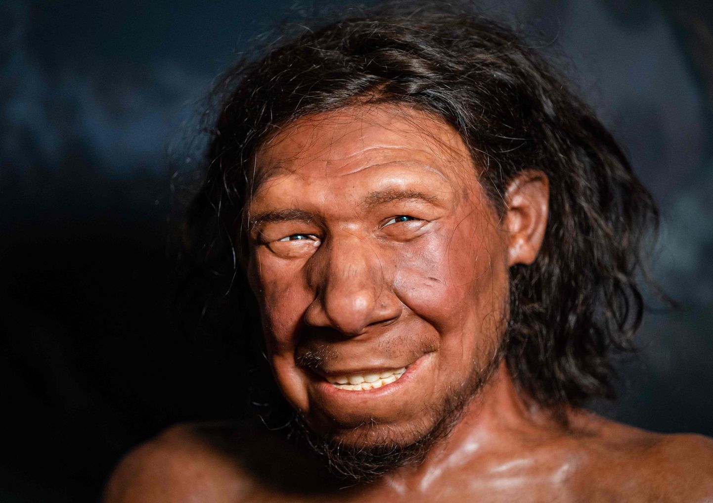 Kõige vanem neandertallane, mis Hollandist leitud on, hüüdnimega Krijn. Asub Hollandi riiklikus antiigimuuseumis, Leidenis.