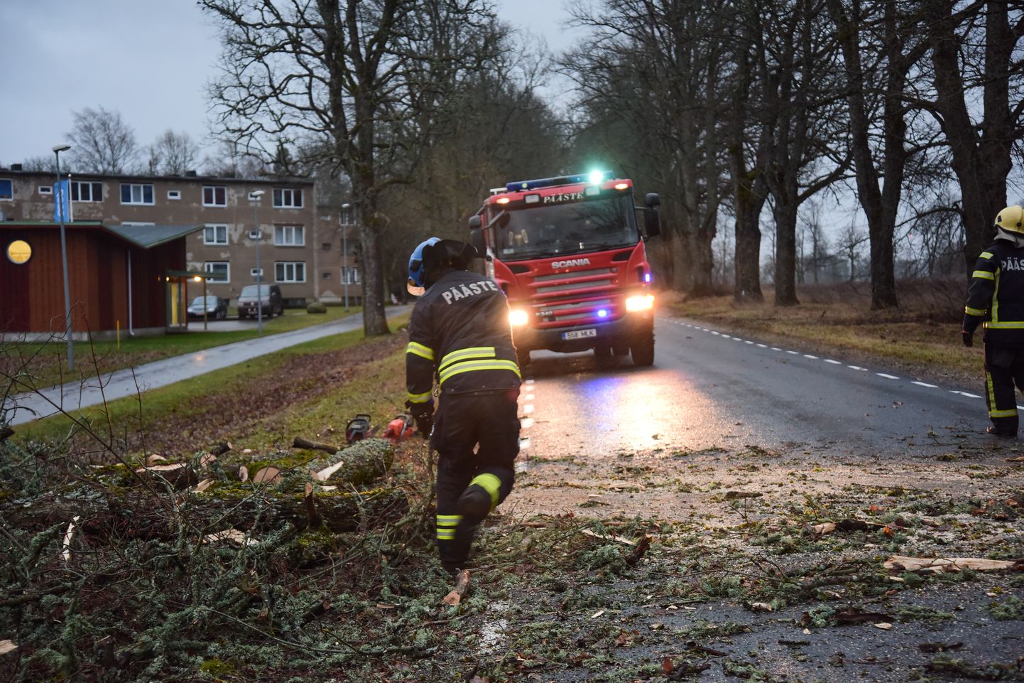 Viljandimaal Olustvere alevikus sulges teele kukkunud puuoks liikluse ligi pooleks tunniks.