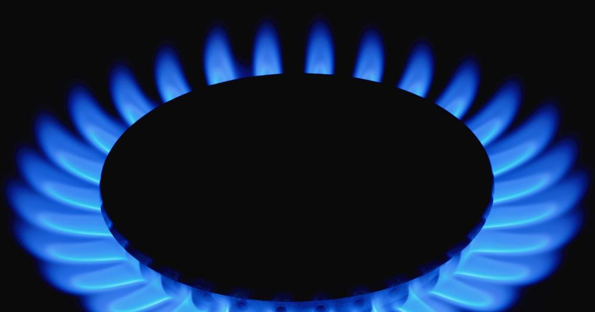 Эстония могла бы и сама перекрыть России газовый кран - Экономика - Rus ...