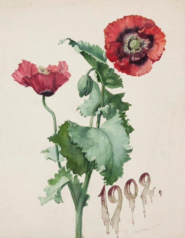 Lilly Walther, «Punased magunid» (1902). Akvarell. Tartu Kunstimuuseum.