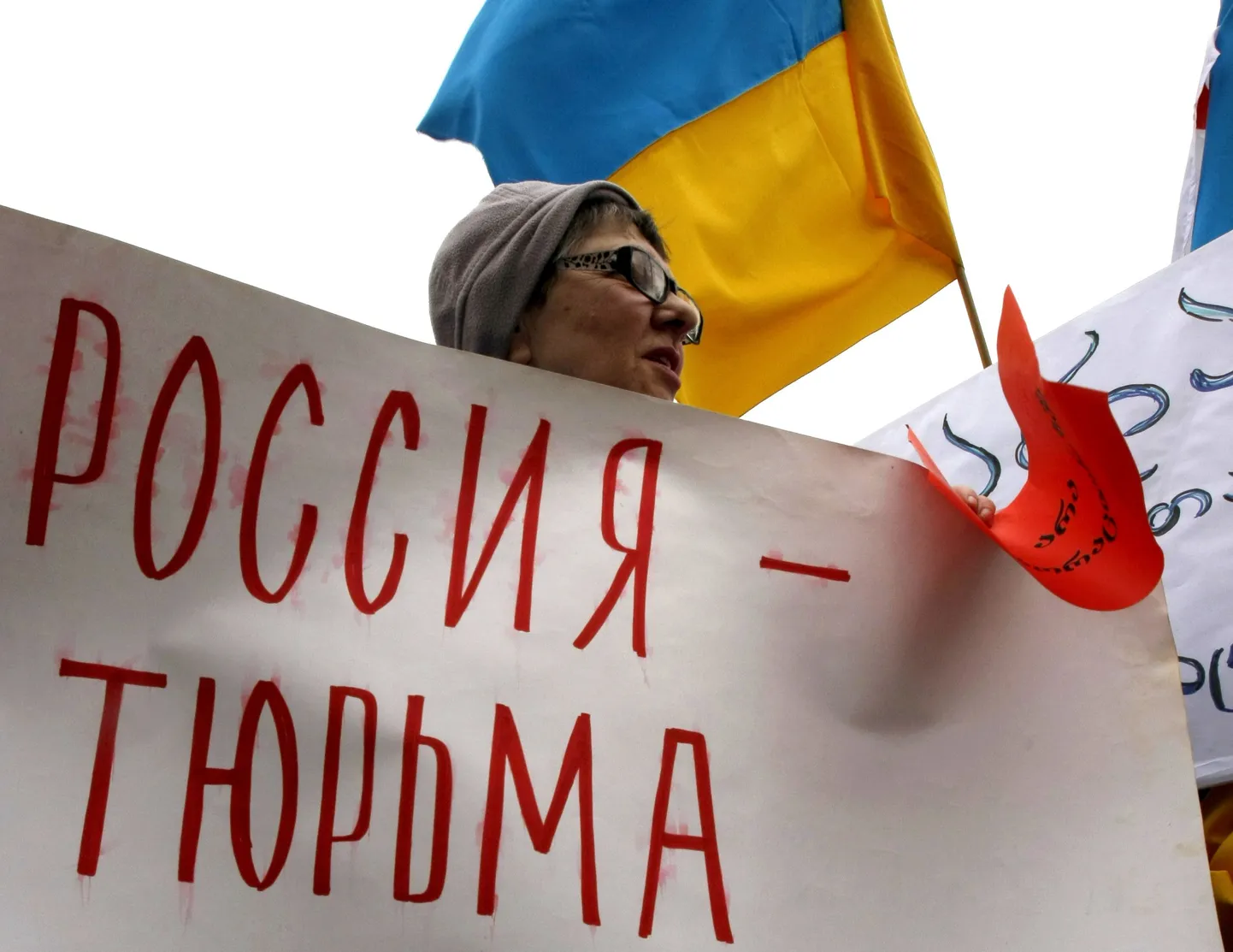 Soome Helsingi ülikooli Aleksanteri instituudi Venemaa välis- ja sisepoliitika asjatundja Hanna Smithi sõnul oli oodata, et Ukraina plaanib varem või hiljem venemeelsete vastu jõudu kasutada