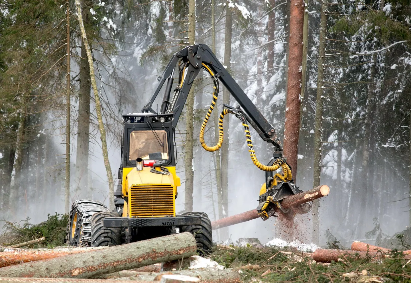 Kohus peatas 57 metsateatise kehtivuse 30 päevaks.