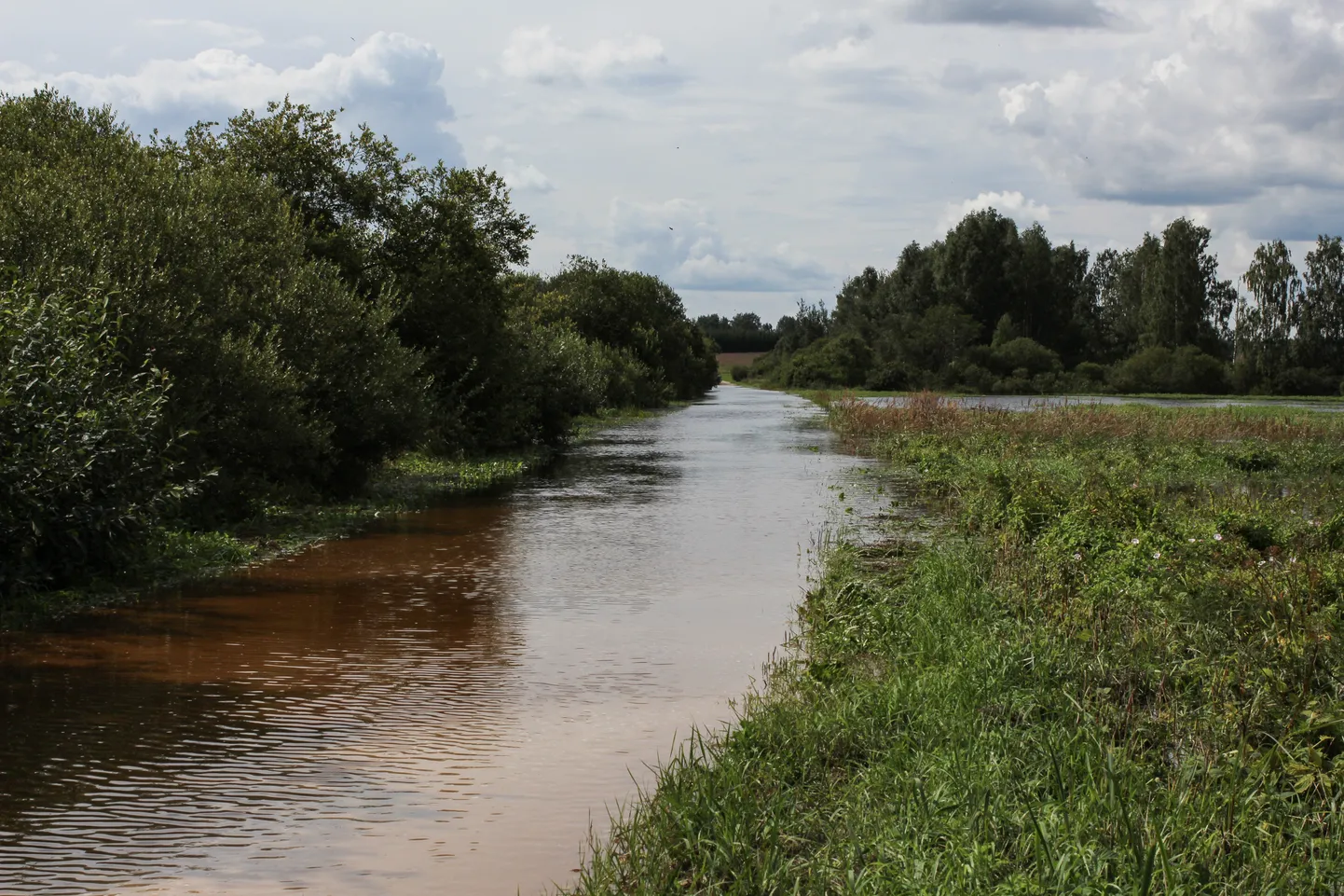 Roosi külas teele ja põllule kolinud Orajõgi. Foto tehtud 31.07.