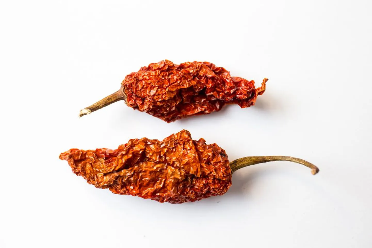 Bhut Jolokia ehk kummitustšilli on üks maailma teravamaid tšillisid, sisaldades veidi üle ühe miljoni Scoville’i skaala ühiku (1 041 427 SHUd – toim) tulisust. Veel mõni aasta tagasi peeti seda Tabasco kastmest üle 400 korra teravamat tšillit maailma tuliseimaks pipraks. 2012. aastal tõukas võiduka suupõletaja troonilt aga Mehhiko päritolu Trinidad Moruga skorpioniks tituleeritud tšilli, mille keskmiseks teravusastmeks on mõõdetud 1 200 000 SHUd, kuid mis võib mõningate viljade puhul piisavalt heades tingimustes kasvamisel ulatuda kuni kahe miljoni ühikuni. Möödunud aasta detsembris astus esikohale aga veelgi ekstreemsemaks aretatud tšilli, mille hirmukuulutav nimi Rappija Carolina (Carolina Reaper – toim) annab aimu, mida kuni 2 200 000 SHUd terav tšilli maitsegurmaani suuga teha võib. Bhut Jolokia on praegu maailma teravuselt kolmas tšilli.