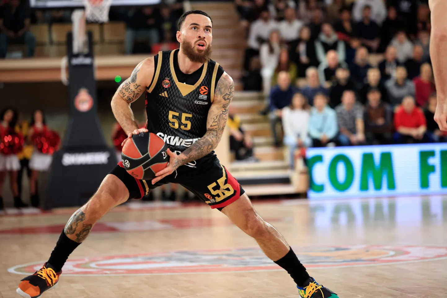 Mike James