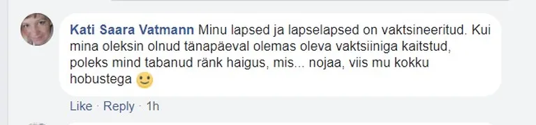 Kati Saara Vatmann Hannahile