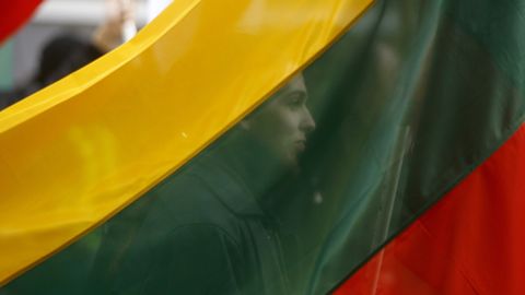 МИД Литвы отрицает призыв к вводу войск в Белоруссию