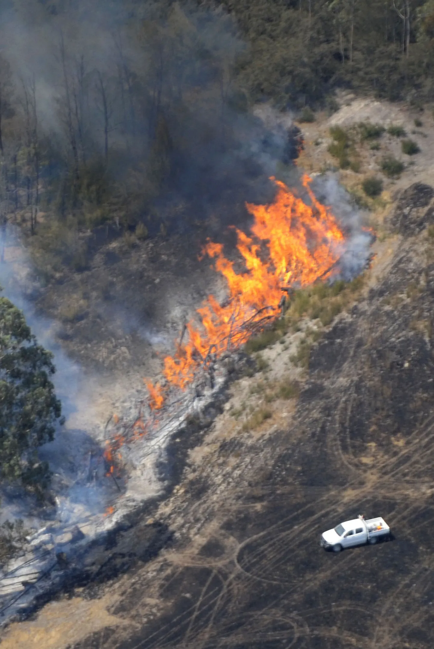 A wildfire rages up a gully near Kinglake, some 100 kms northeast of Melbourne on February 9, 2009. The wildfires, which started on February 7, have become the deadliest in Australia's history leaving at least 131 dead amid a landscape of charred homes, bodies and devastated communities.   AFP PHOTO/Paul CROCK