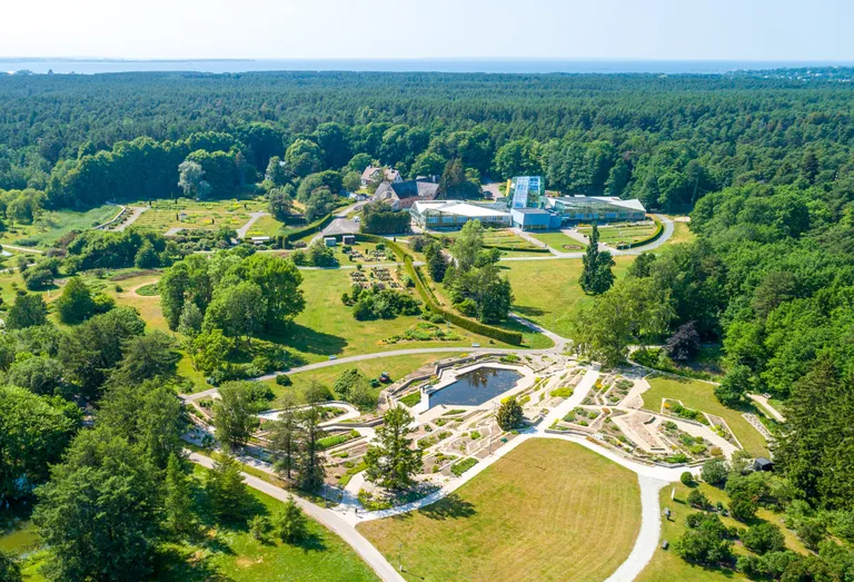 Tallinna botaanikaaia mägiaed.