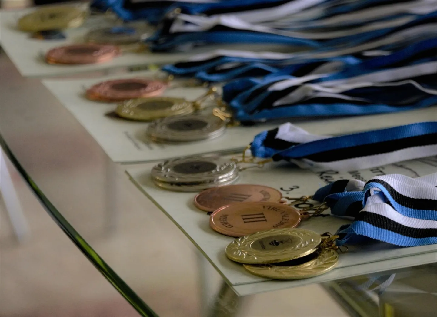 Kaitseliidu Viru maleva aastapäeva tähistati laupäeval Ebaveres sportlikult, krossi joostes. Parematele riputati auhinnaks kaela medalid.