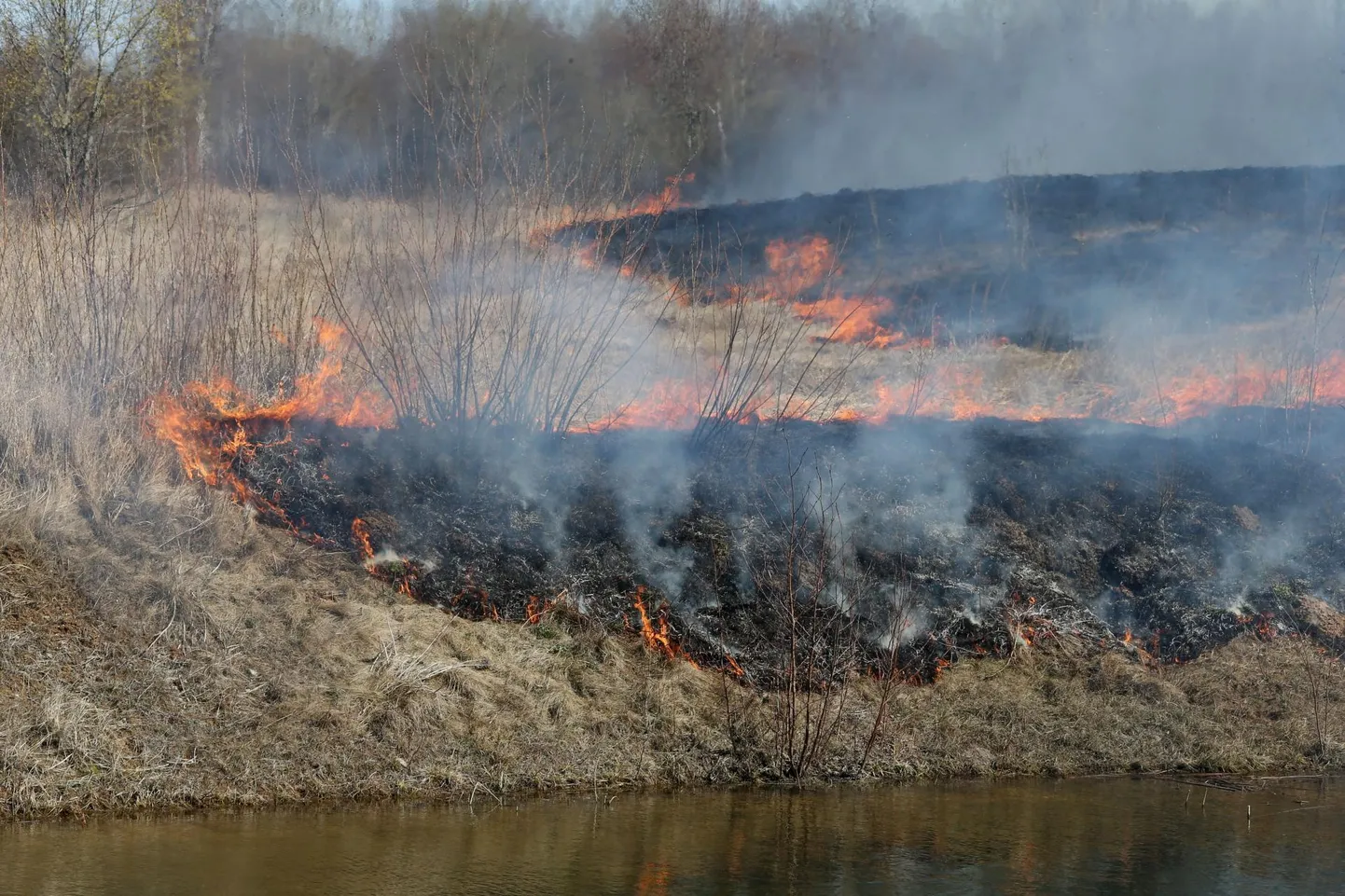 Kulupõleng.