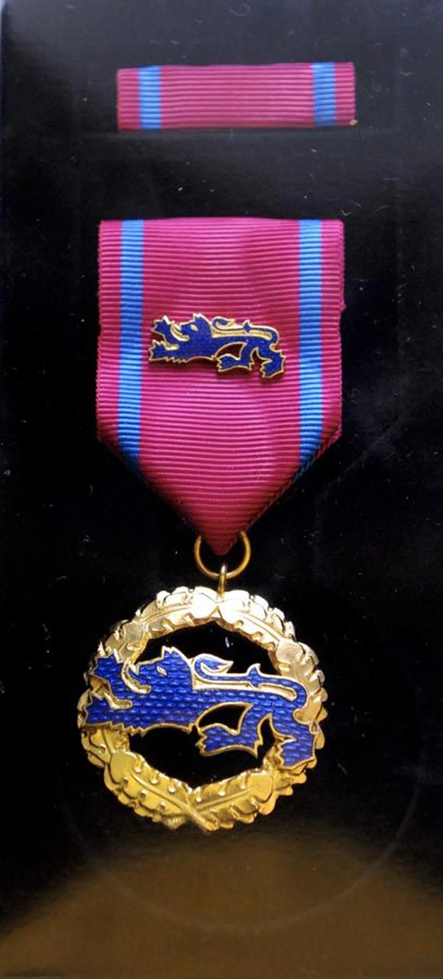 Elupäästja medal
