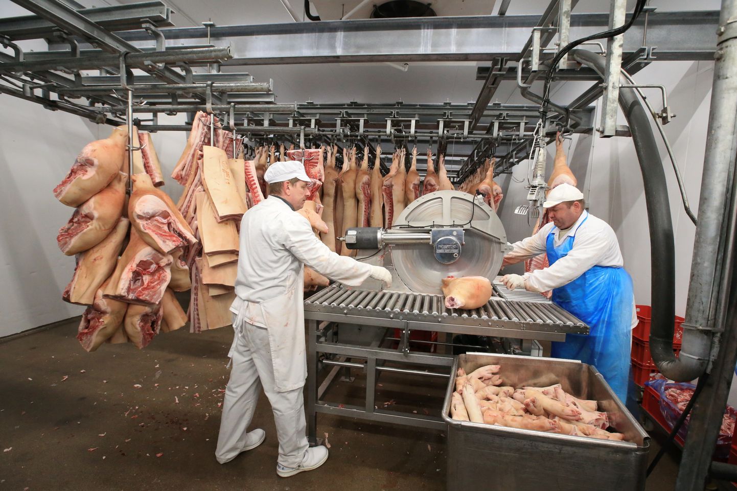 Lihatööstus. Foto on illustratiivne.