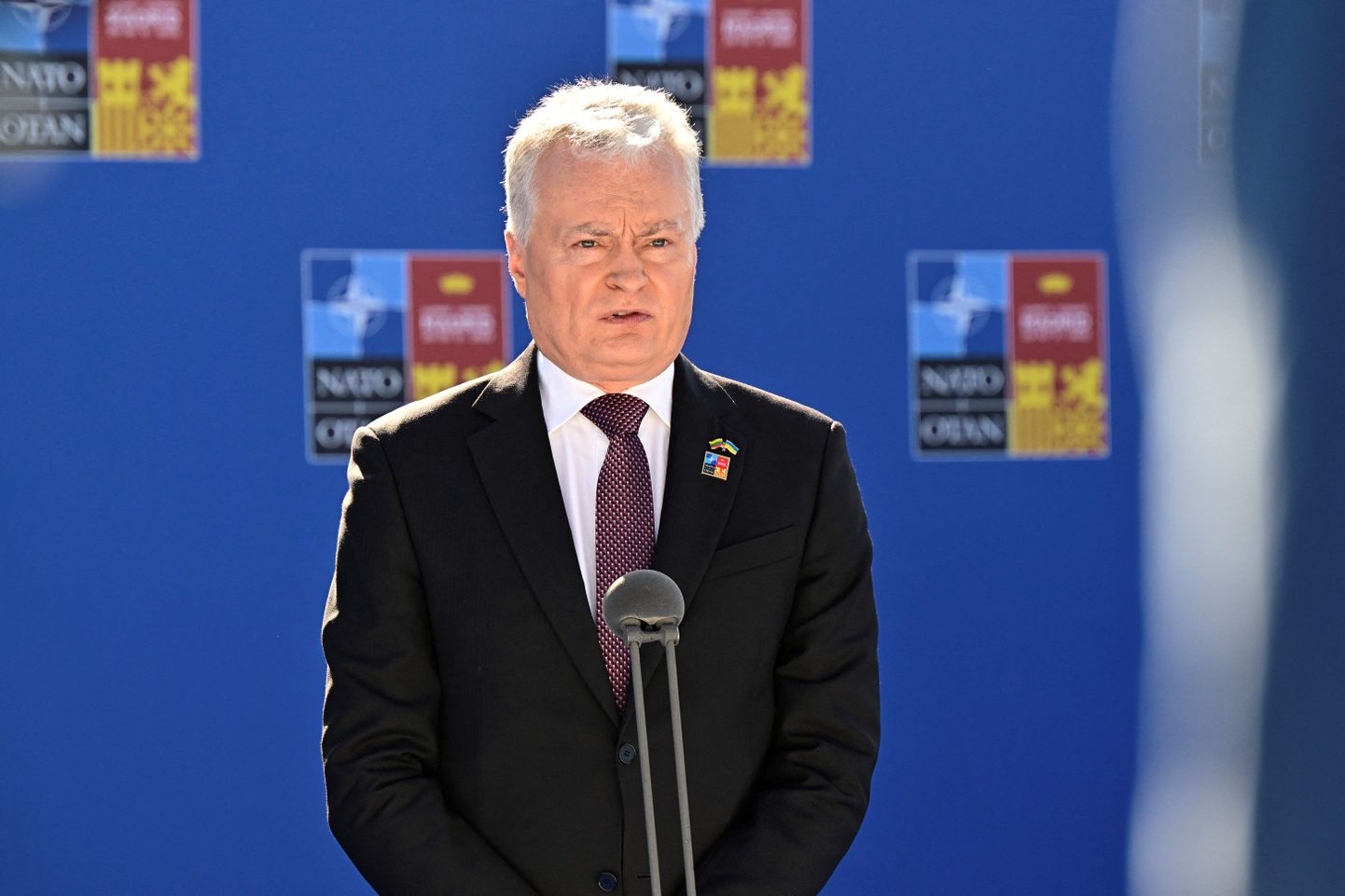 Президент Литвы Гитанас Науседа.