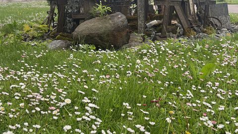 Julged, veidrad ja kaunid: monumendid kiiksude ja lugudega