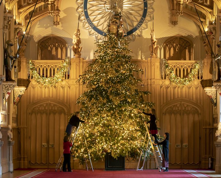 Windsori lossi jõulukaunistused. Kaukaasia nulg St. George Hall'is
