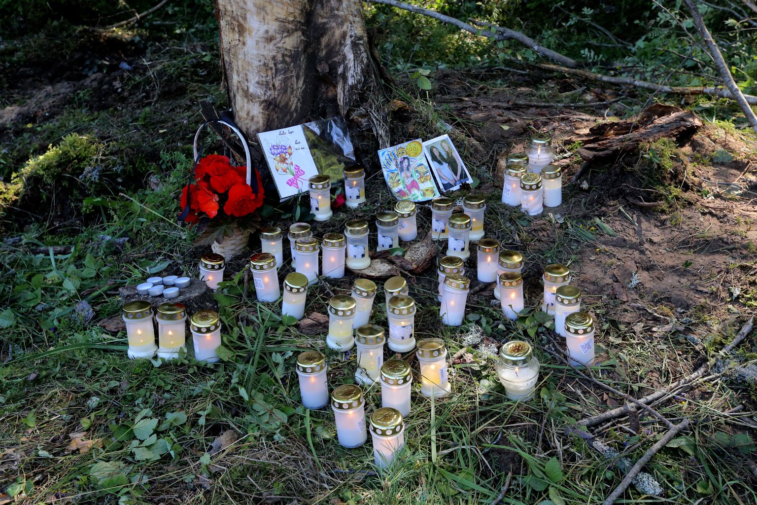 Цветы и свечи на месте трагического ДТП в Тартумаа.