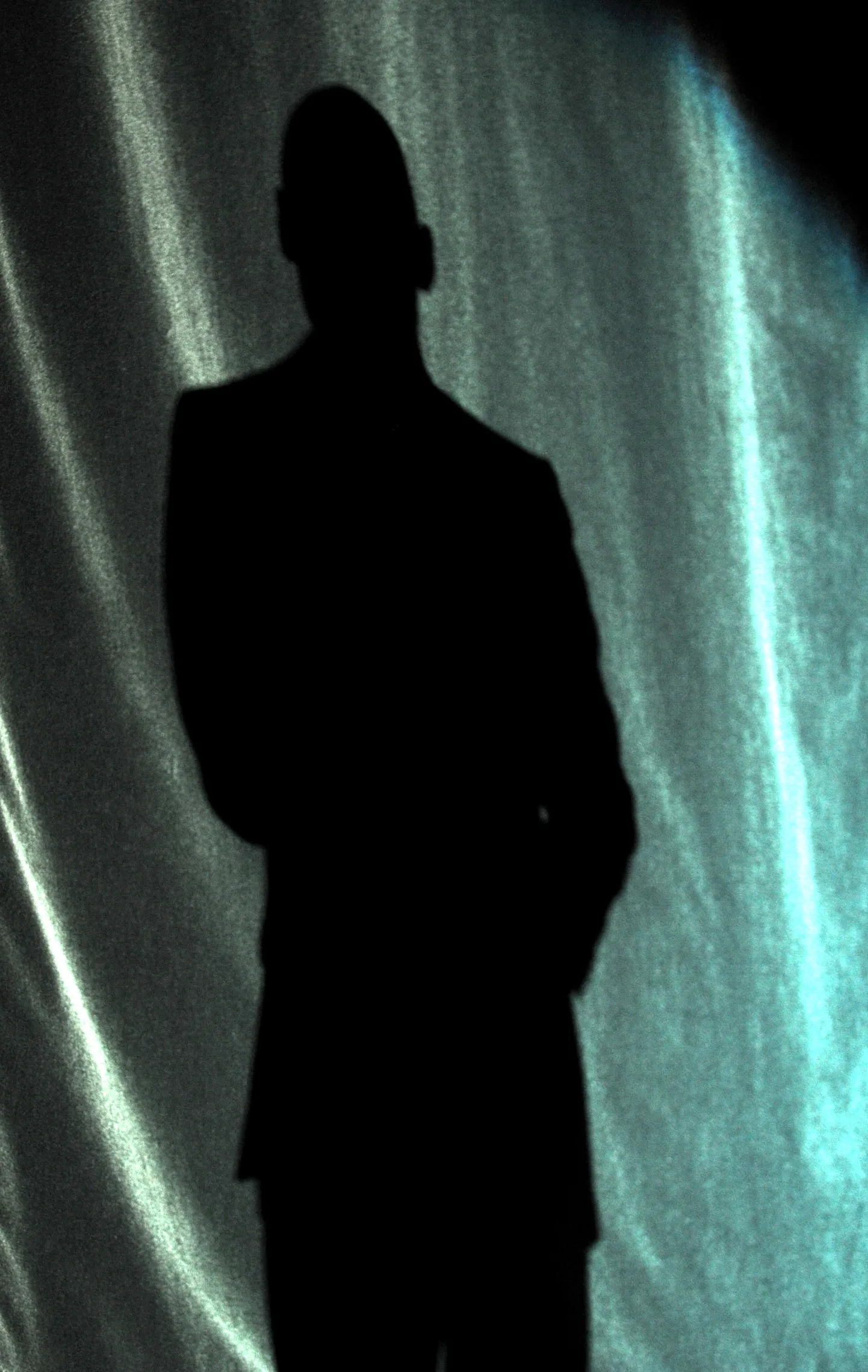 article photo