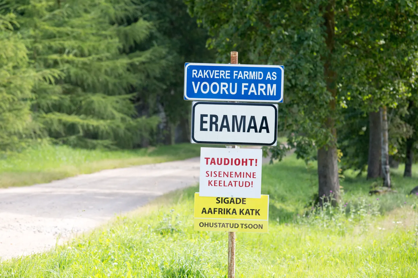 Katk farmis