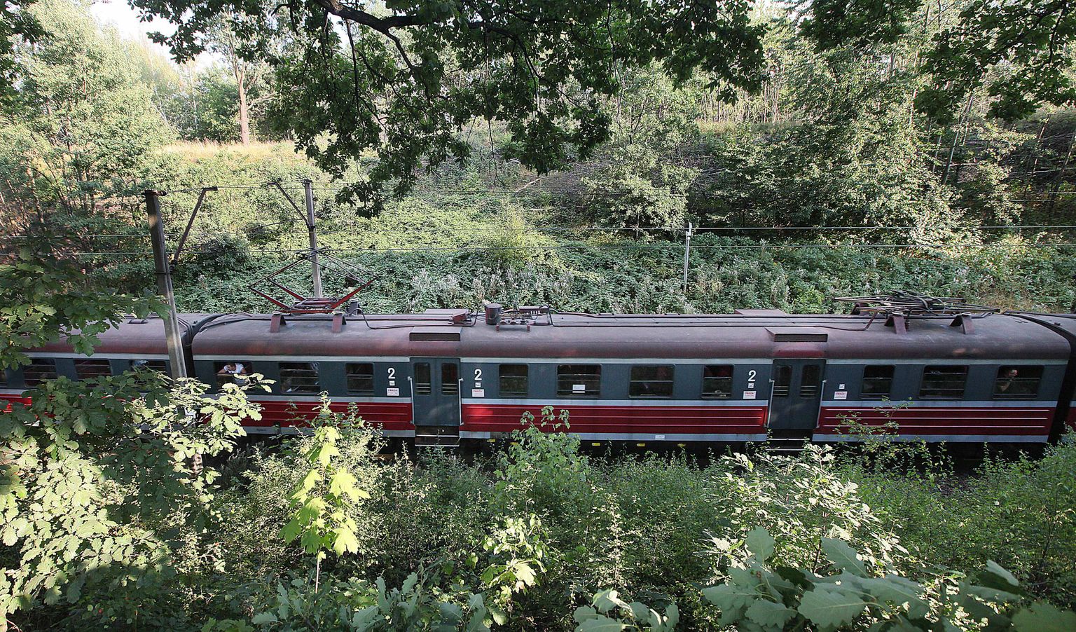 Kohalik Poola rong sõidab mööda natside aarderongi võimalikust asukohast.
