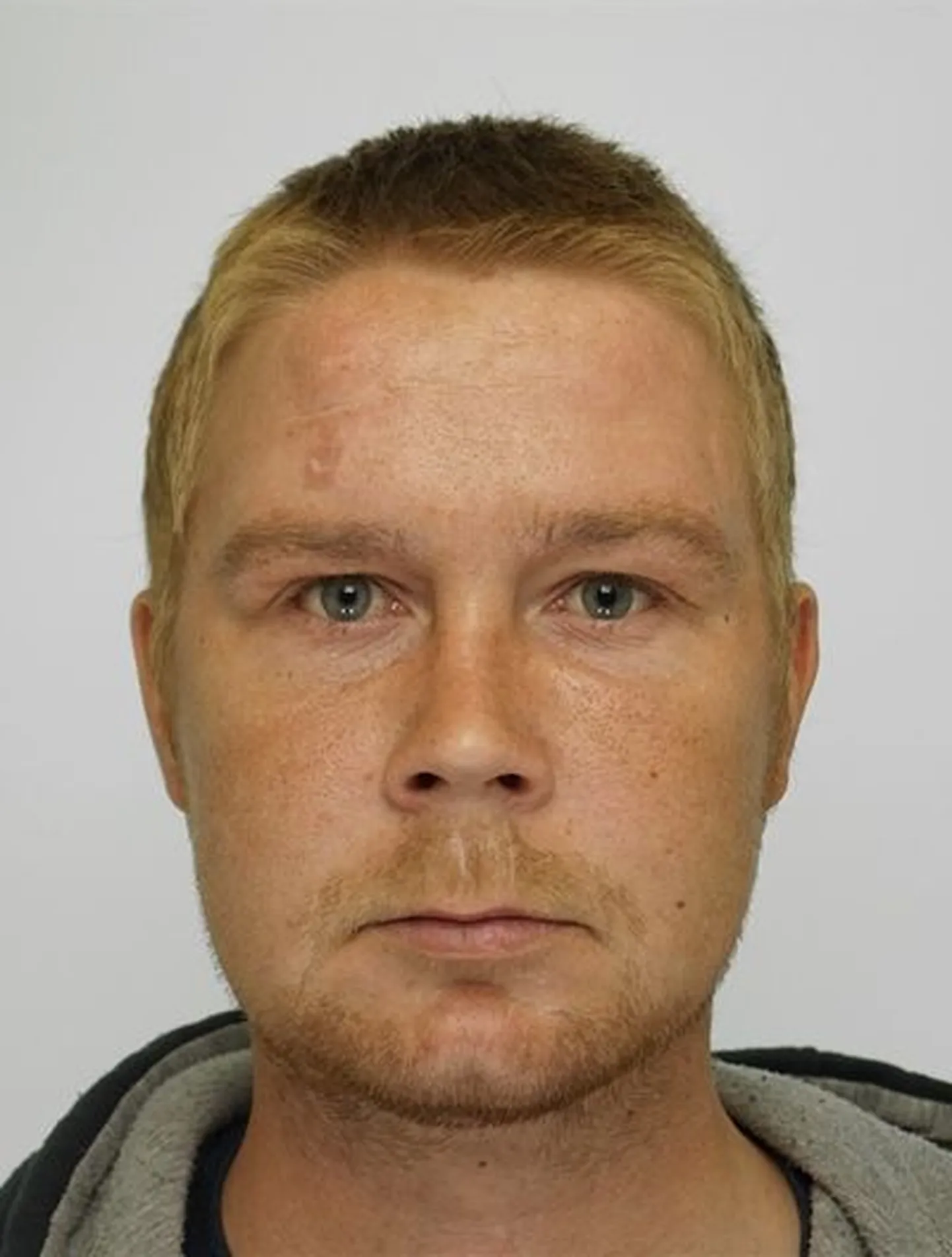 Politsei otsib Mustvee vallas kadunud 33-aastast Arlest.