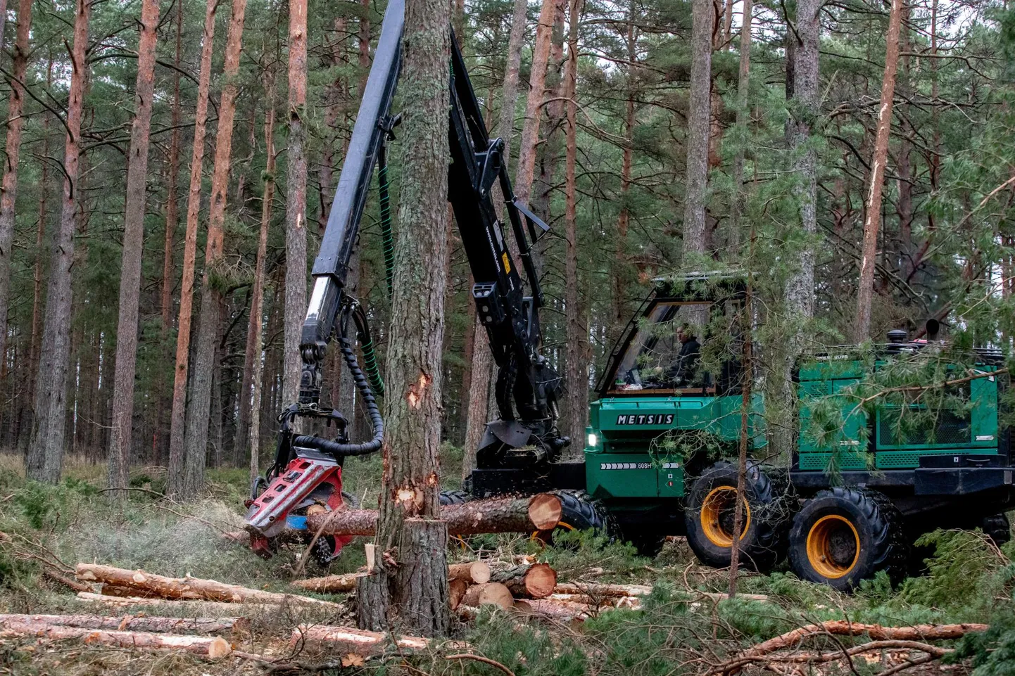 Одним из важнейших факторов, влияющих на результат ЗИЗЛХ, является сокращение объема вырубки леса.