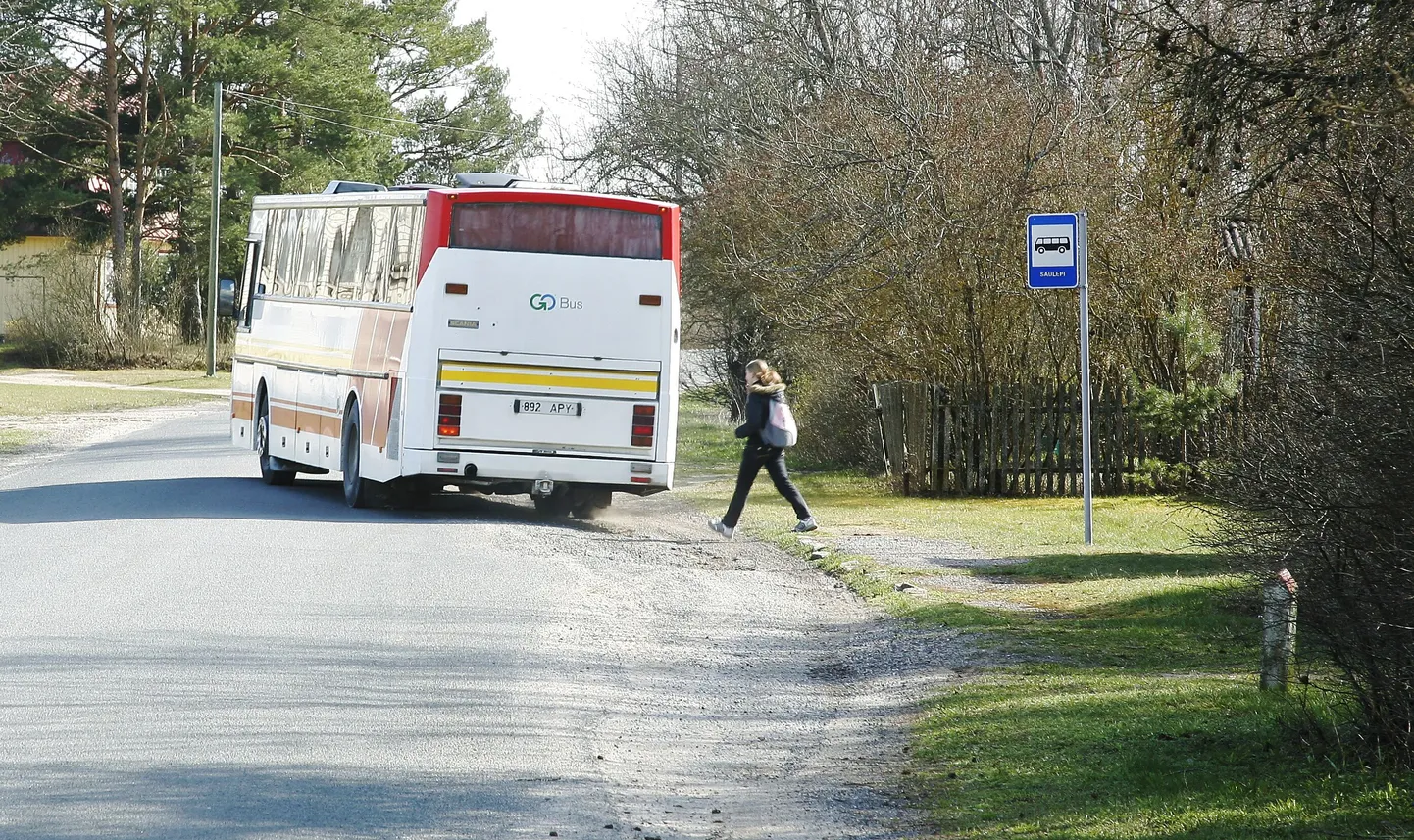 Maaliinibuss