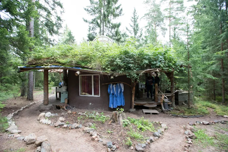 Ökohosteli saunamaja, mille katusel kasvavad ka vaarikad. Paremal pütt, kuhu saunast tulles end kasta.