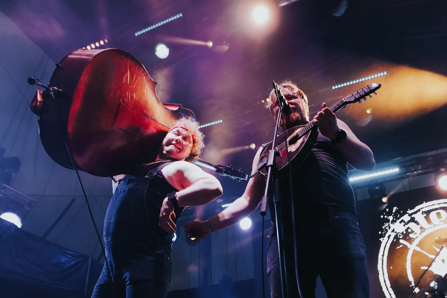 Steve 'n' Seagulls.