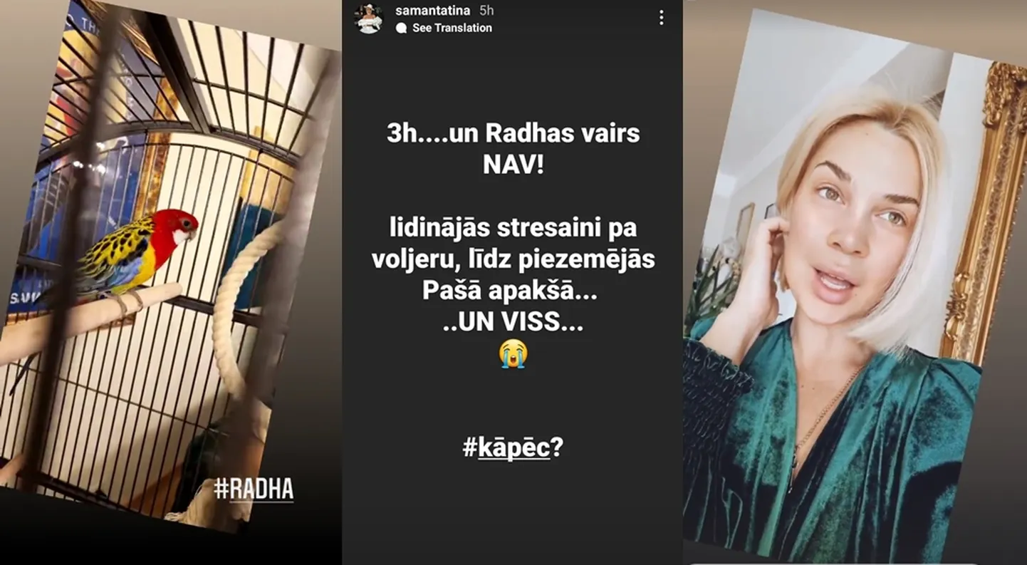 Raksta foto