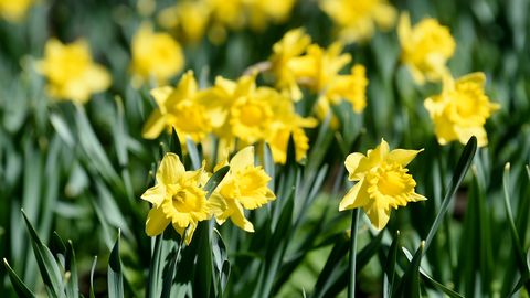 Horoskops ceturtdienai - 26. martam