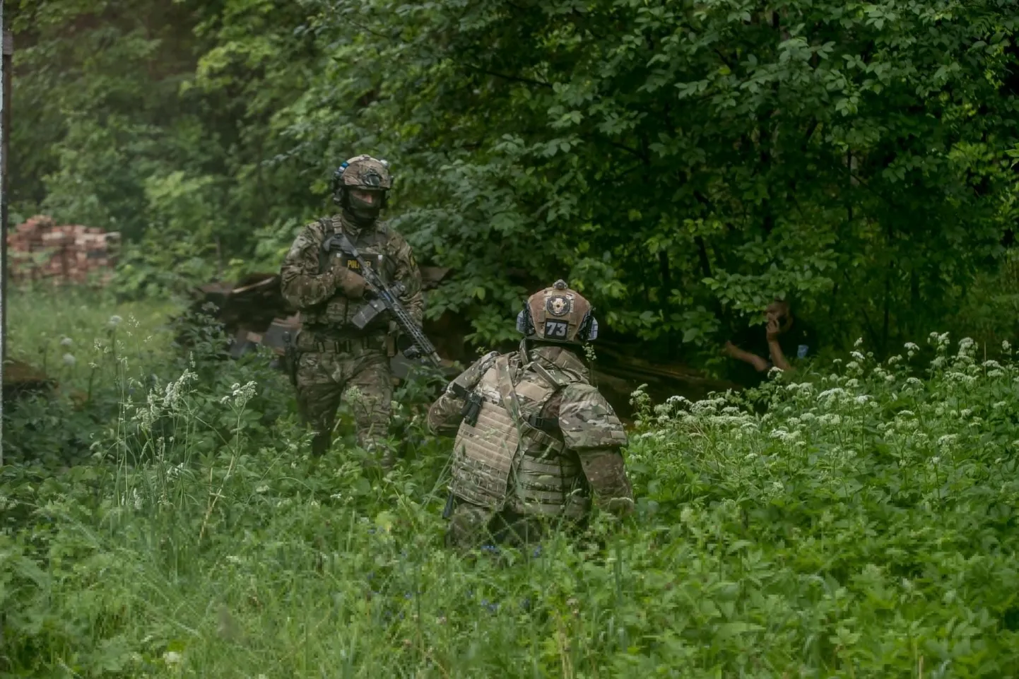 Väeosade üle riigi laialipaigutamine olla poliitikaväline võti, leevendamaks riigi iibeprobleemi.