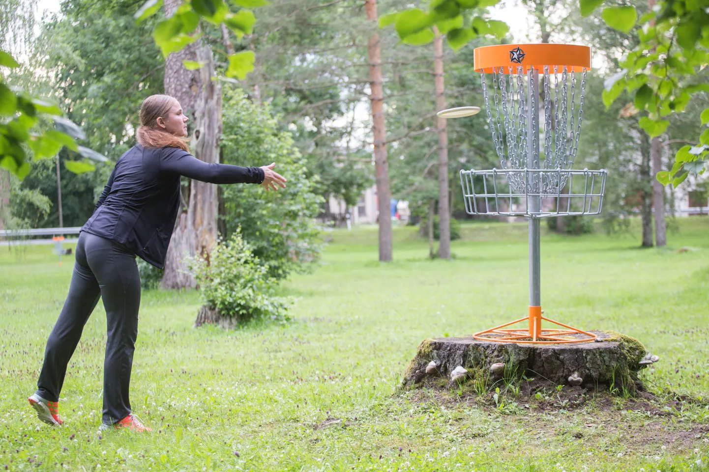 Disc-golf. Foto on illustratiivne.